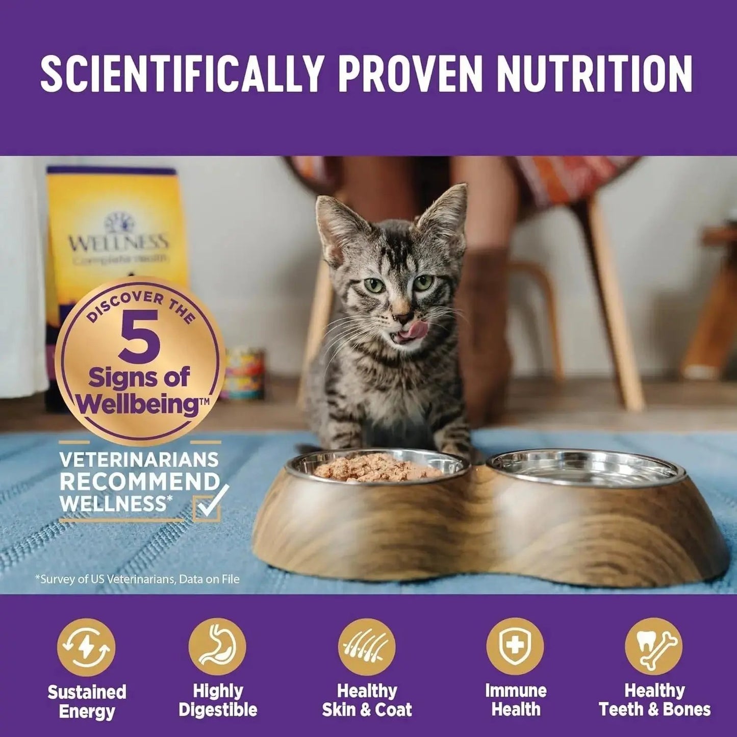 Wellness Complete Health Pate Adult Wet Cat Food, Natural, Protein-Rich, Grain F - Wellness