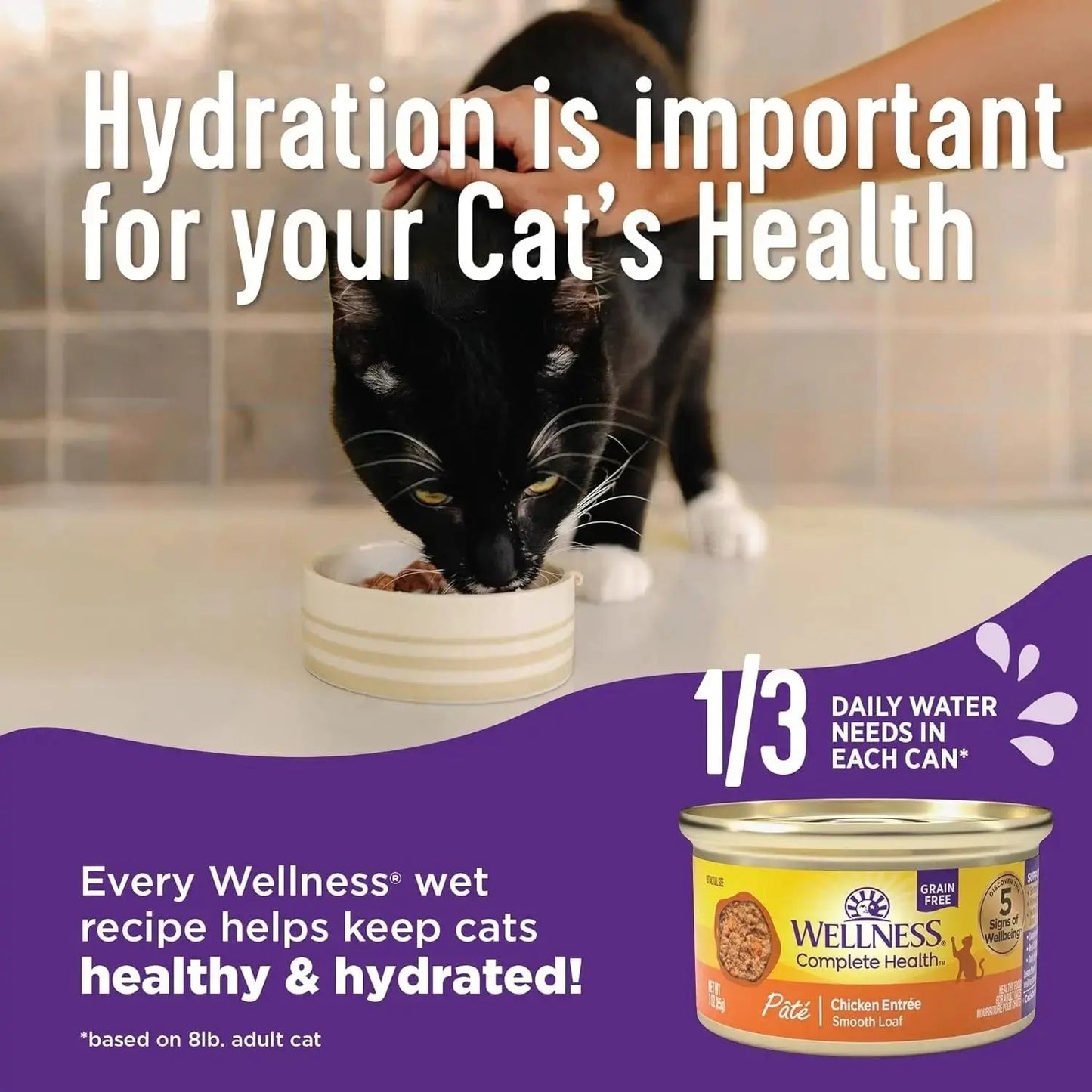 Wellness Complete Health Pate Adult Wet Cat Food, Natural, Protein-Rich, Grain F -  Wellness