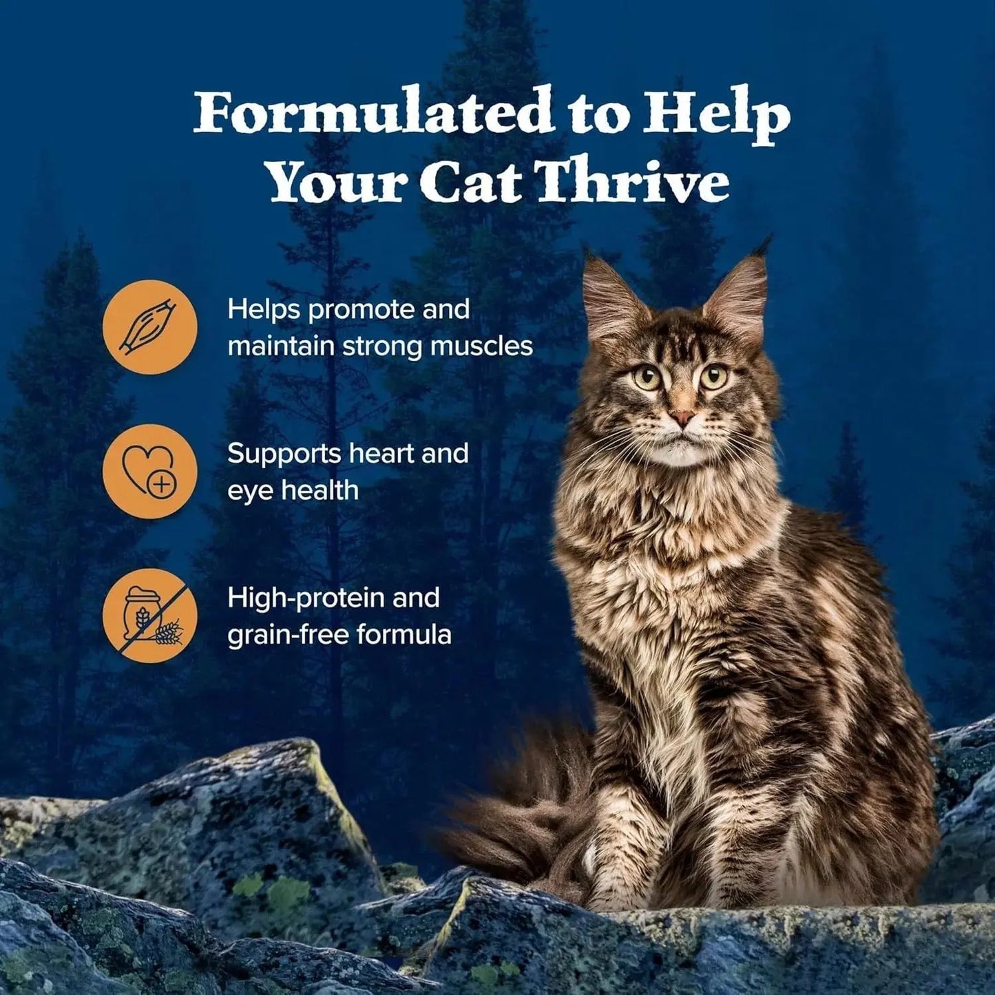 Blue Buffalo Wilderness Wild Delights Minced Natural Wet Cat Food, Chicken & Turkey in Tasty -  Blue Buffalo